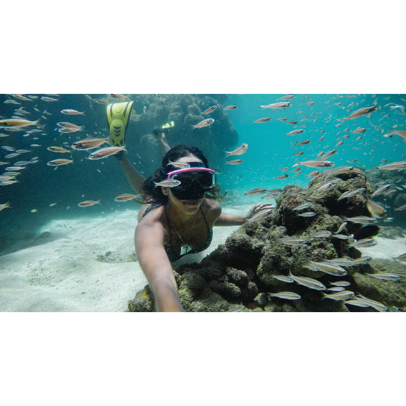 ゴープロ GOPRO ゴープロ GOPRO ダイブハウジング(HERO8 Black) AJDIV-001 AJDIV-001