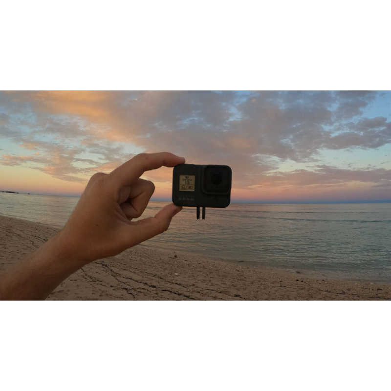 ゴープロ GOPRO ゴープロ GOPRO GoPro リプレースメントフィンガー forHERO8MAX AJMFR-001 AJMFR-001