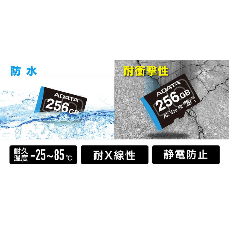 タジマモーターコーポレーション タジマモーターコーポレーション MAX Performance MicroSD 256GB ADTAG-256G ADTAG-256G