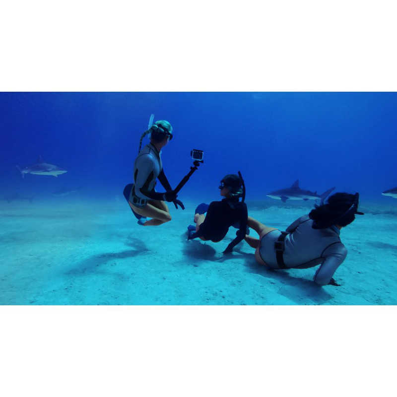 ゴープロ GOPRO ゴープロ GOPRO GoPro ダイブハウジング for HERO12/11/10/9 ブラック ADDIV-001 ADDIV-001