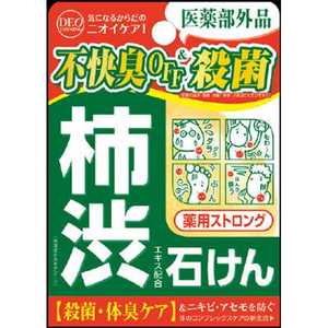 コスメティックローランド 柿渋エキス配合石鹸 デオタニング 薬用ストロングソープ 100g(男性化粧品)