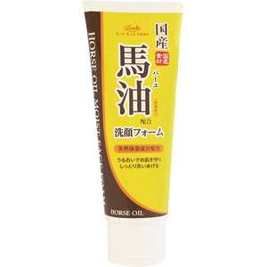 コスメティックローランド 「ロッシモイストエイド」馬油洗顔(120g) コスメティックローランド 「ロッシモイストエイド」馬油洗顔(120g)