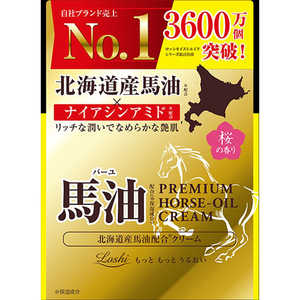 コスメティックローランド ロッシモイストエイド 北海道産馬油スキンクリームプレミアム 40g コスメティックローランド ロッシモイストエイド 北海道産馬油スキンクリームプレミアム 40g