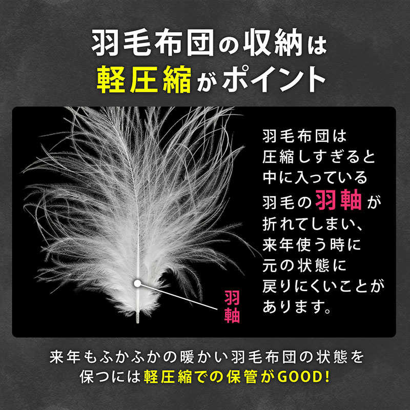 アストロ アストロ 羽毛布団収納袋持手付 シンプルグレー 2枚組 167-26 167-26