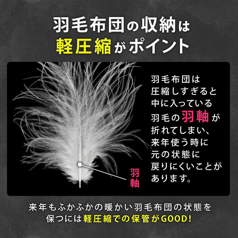 アストロ アストロ 活性炭羽毛布団保存ケース2枚組 171-35 171-35