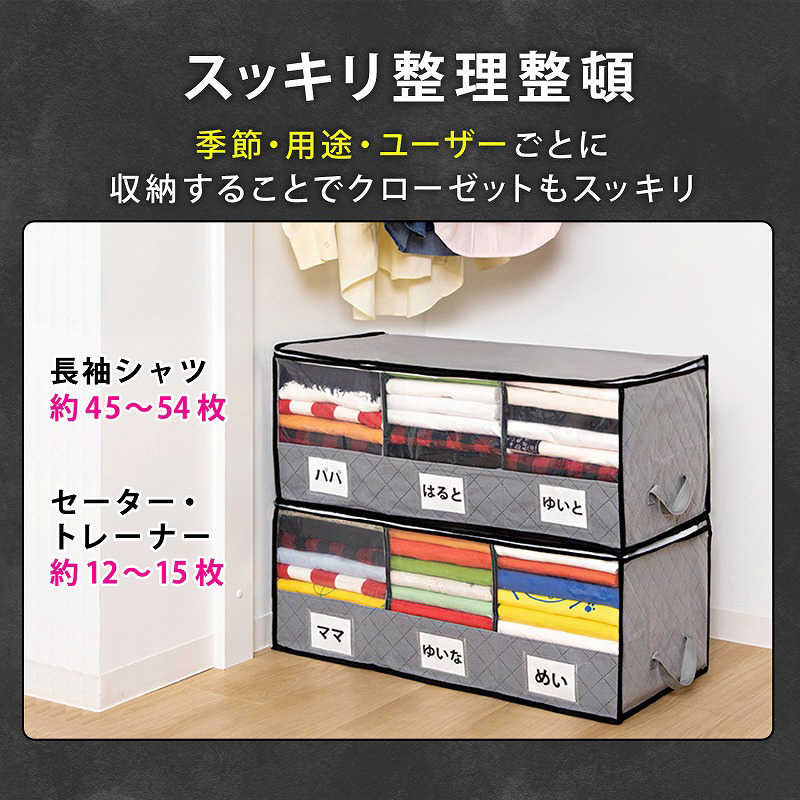 アストロ アストロ 活性炭 持ち手付衣類整理袋 171-37 171-37