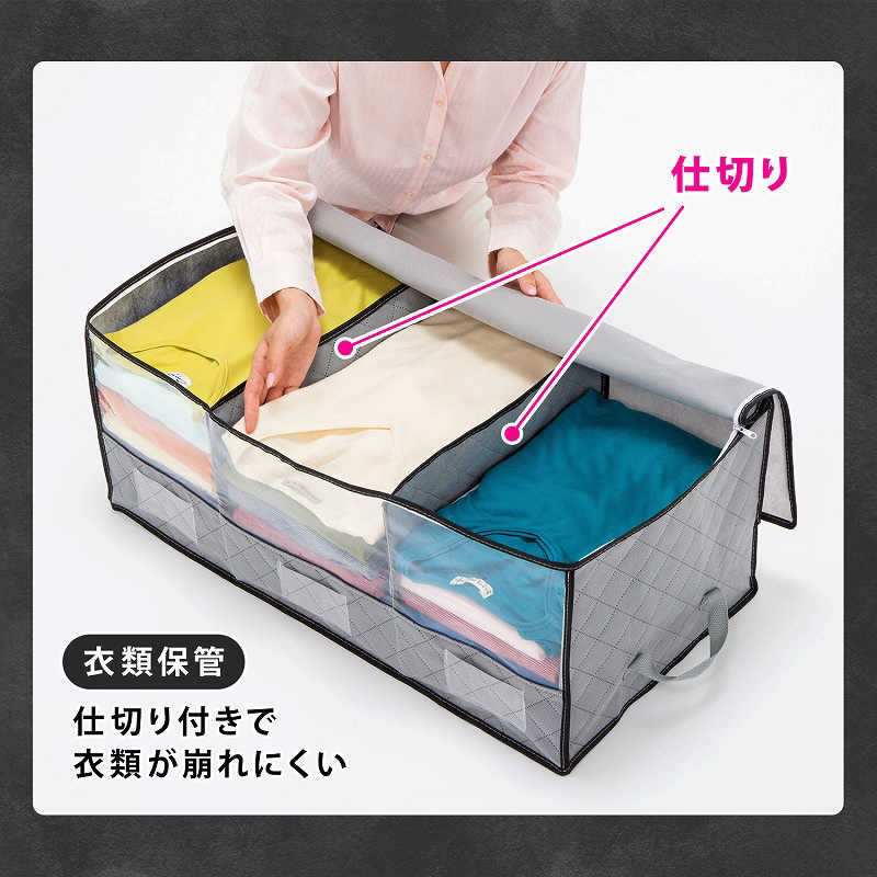 アストロ アストロ 活性炭 持ち手付衣類整理袋 171-37 171-37