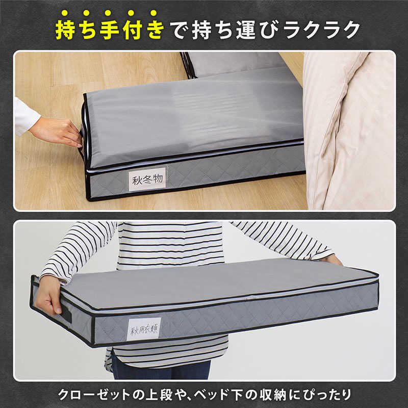 アストロ アストロ 活性炭ベッド下収納ケース スリム 171-86 171-86