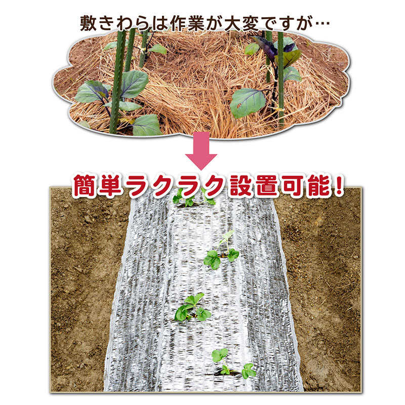 アストロ アストロ 敷きわら風キラキラシート1×10m 530-09 530-09