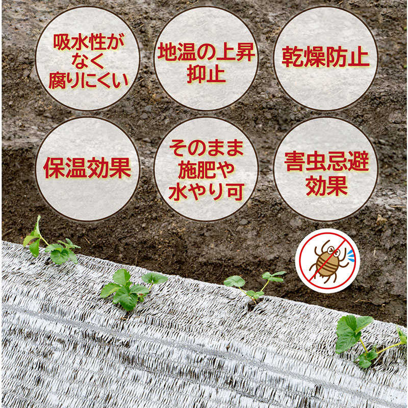 アストロ アストロ 敷きわら風キラキラシート1×10m 530-09 530-09