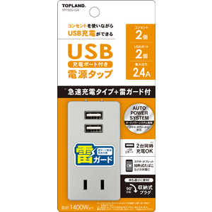 トップランド USBスマートタップ2.4A＋2【雷ガード】 グレー TPP300-GR