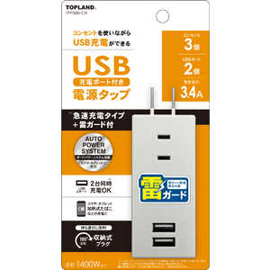 トップランド USBスマートタップ3.4A【雷ガード】 グレー TPP500-GR