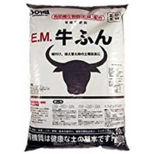 SOWARE  EMդ  20L EM奦ե󥪥֥