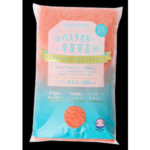 {^I oX^IƐ錾 FL(t~S) FLit~Sj