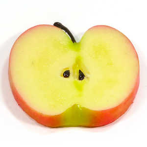 CebN HׂႢȃR[X^[ STCY S 206FC