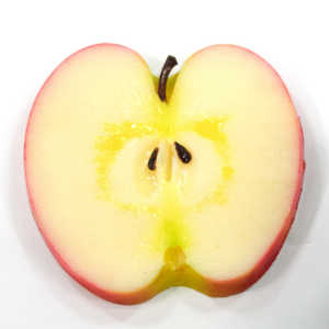 CebN HׂႢȃR[X^[ LTCY S 144FC