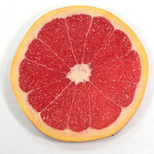 CebN HׂႢȃR[X^[ LTCY GFr[ 146FC