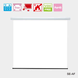 キクチ科学 電動巻上げ式スクリーン キクチ科学研究所 SE-100AFWA/W