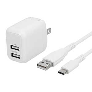 OWLTECH ő12W USB TypeA 2|[g AC[d { ^tUSB TypeA to USB TypeCP[u Zbg zCg m2|[g Smart ICΉn OWL-AC12WBAC12-WH