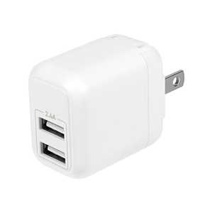 OWLTECH USB Type-A×2 AC[d m2|[g /Smart ICΉn zCg OWL-AC12WA2-RWH