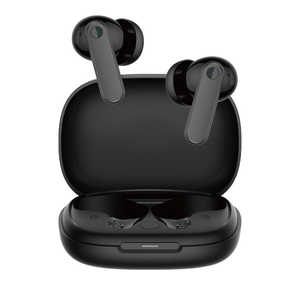 NTT�h�R�� (����)���C�����X�C���z��/MEES M4 Pro �u���b�N MEESM4PRO