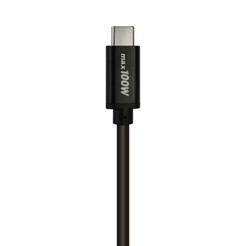 GROOVY GROOVY USB-C ⇔ USB-Cケーブル [充電 /転送 /1m /USB Power Delivery /100W /USB2.0] ブラック GRU2PD100CC100 GRU2PD100CC100