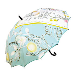 藤田屋 da mon de シームレス傘 長傘 60cm 花チーフ SEAMLESS 藤田屋 da mon de シームレス傘 長傘 60cm 花チーフ SEAMLESS