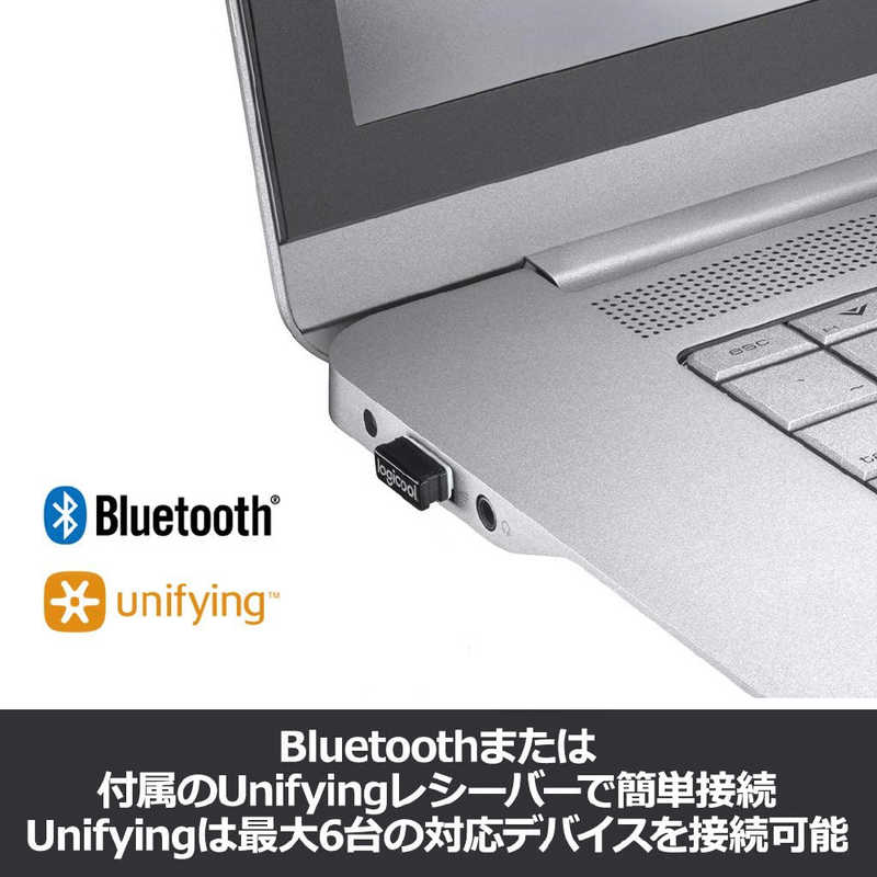 ロジクール ロジクール ワイヤレスレーザーマウス MULTI-DEVICE サイレントマウス (7ボタン) M590GT (グラファイトトｰナル) M590GT (グラファイトトｰナル)