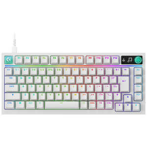 ���W�N�[�� G316 X 75 �L���Q�[�~���O�L�[�{�[�h WH G316X-75-LNWH