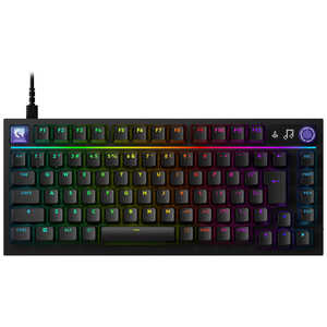 ���W�N�[�� G316 X 75 �L���Q�[�~���O�L�[�{�[�h BK G316X-75-LNBK