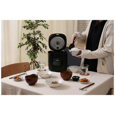 ライフオンプロダクツ 糖質カット炊飯器 2.5合 MO-SK002 の通販