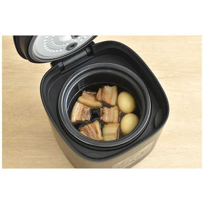 ライフオンプロダクツ 糖質カット炊飯器 2.5合 MO-SK002 の通販