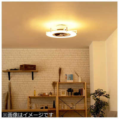 ライフオンプロダクト Modern Collection パネライトサーキュレーター 