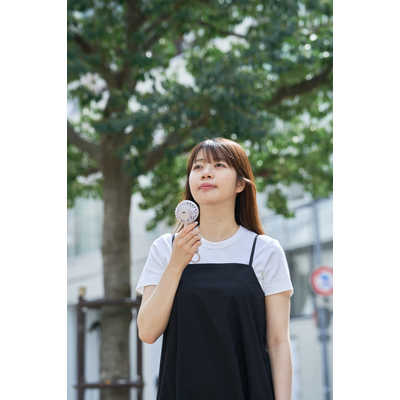 HASHTAG カラビナ付きハンディファン サンセット HT-KFAN-002 の通販