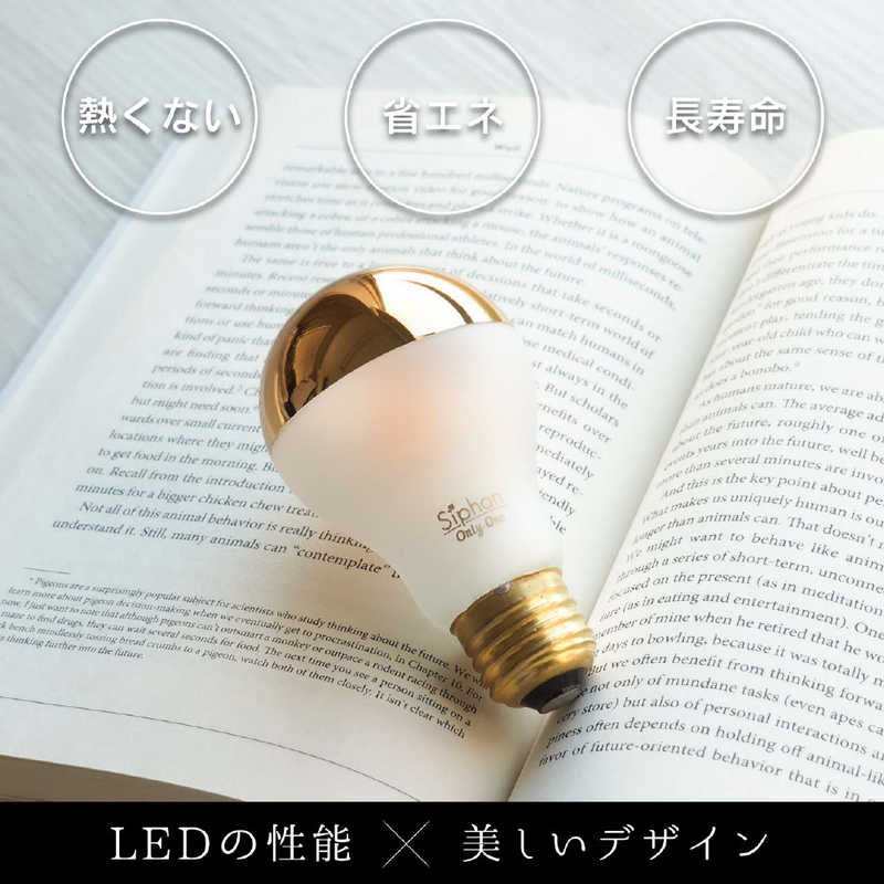 ビートソニック ビートソニック LED電球 LDF80 LDF80