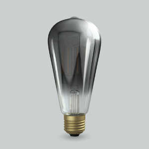 ビートソニック LED電球 エジソン ブラッククリアー Siphon LDF95D [E26 /20W相当 /電球色 /1個 /全方向タイプ]