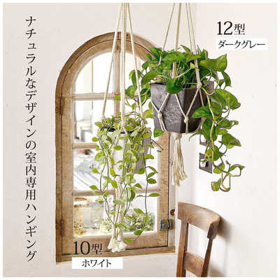 リッチェル ボタニー ハンギングキューブ 10型 ホワイト 1箱（40個）