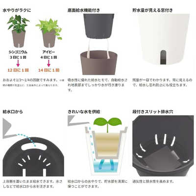 リッチェル ミエルノPlus ポット13型N ホワイト 1箱（80個） [▲][TP] リッチェル ミエルノPlus ポット13型N ホワイト 1箱（80個