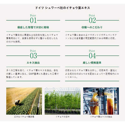 シュワーべギンコ  イチョウ葉エキス ３０日分3個セット アサヒグループ食品 (機能性表示食品)シュワーベイチョウ葉エキス30日