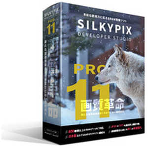 市川ソフトラボラトリー SILKYPIX Developer Studio Pro11 パッケージ版 DSP11H