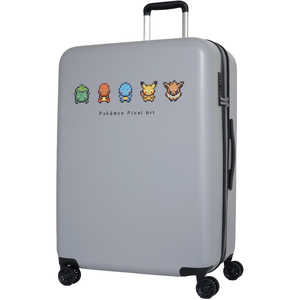 |P X[cP[X t@Xi[^Cv sڈF1TԈȏ 96L g107L aꖳ mTSAbNځn O[ PK-0881-67-GY