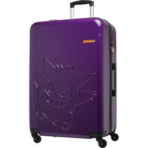 �ݥ���� �����ĥ����� �ե����ʡ������� ι�������ܰ¡�1���ְʾ� ��95L ��TSA���å���ܡ� ���󥬡�/�ѡ��ץ� PK-0908-69-PL