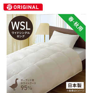 эH[ |HѕzcтӂƂ PR310-A ChVO(Z~_u)O(170×230cm) t Hp zCgO[X_E95% PR310A_WSL_NA