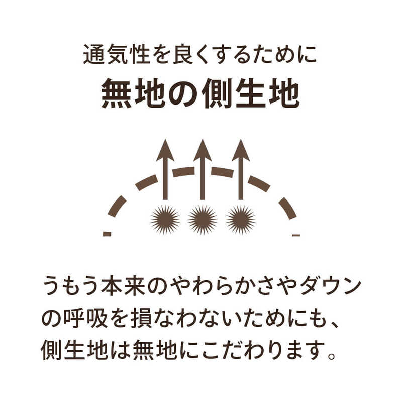 生毛工房 生毛工房 合い掛け羽毛布団生毛ふとん   ダブルロング(190×230cm)  春 秋用  ホワイトグースダウン95％  