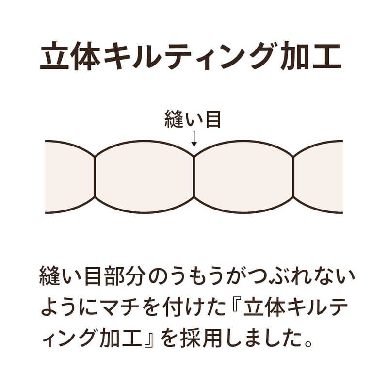 生毛工房 生毛工房 合い掛け羽毛布団生毛ふとん   ダブルロング(190×230cm)  春 秋用  ホワイトグースダウン95％  