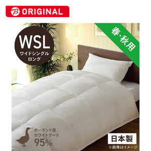 эH[ |HѕzcтӂƂ PR410-A ChVO(Z~_u)O(170×230cm) t Hp zCgO[X_E95% PR410A_WSL_NA