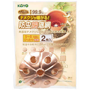 ����ܥ� ����Ƽ���� 2������ NC65