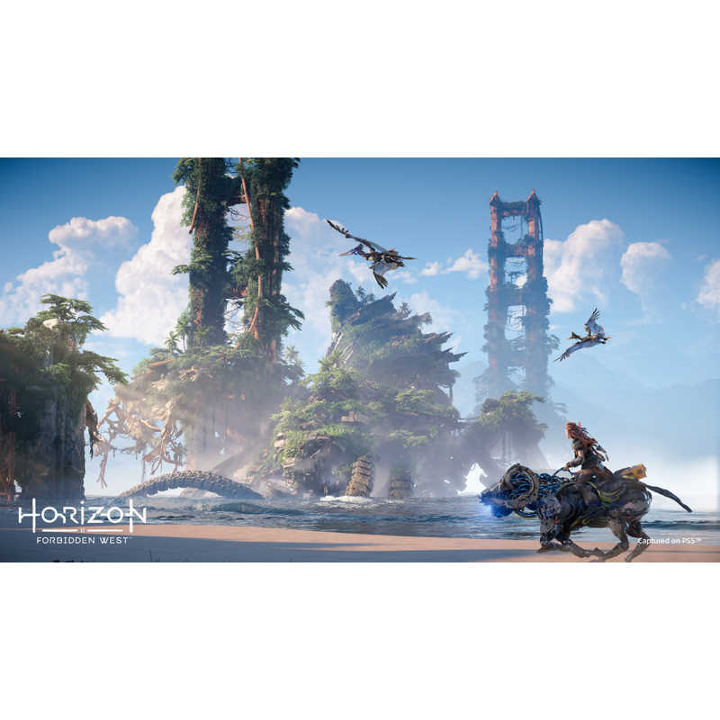 ソニーインタラクティブエンタテインメント ソニーインタラクティブエンタテインメント PS5ゲームソフト Horizon Forbidden West  