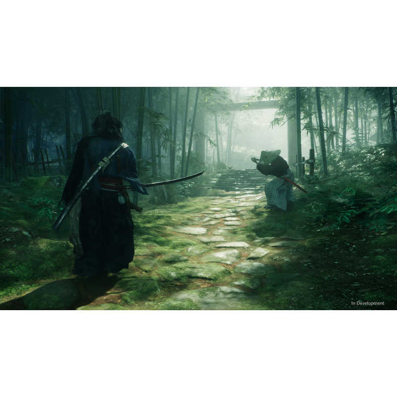 ソニーインタラクティブエンタテインメント ソニーインタラクティブエンタテインメント PS5ゲームソフト Rise of the Ronin Z version ECJS-00031 ECJS-00031