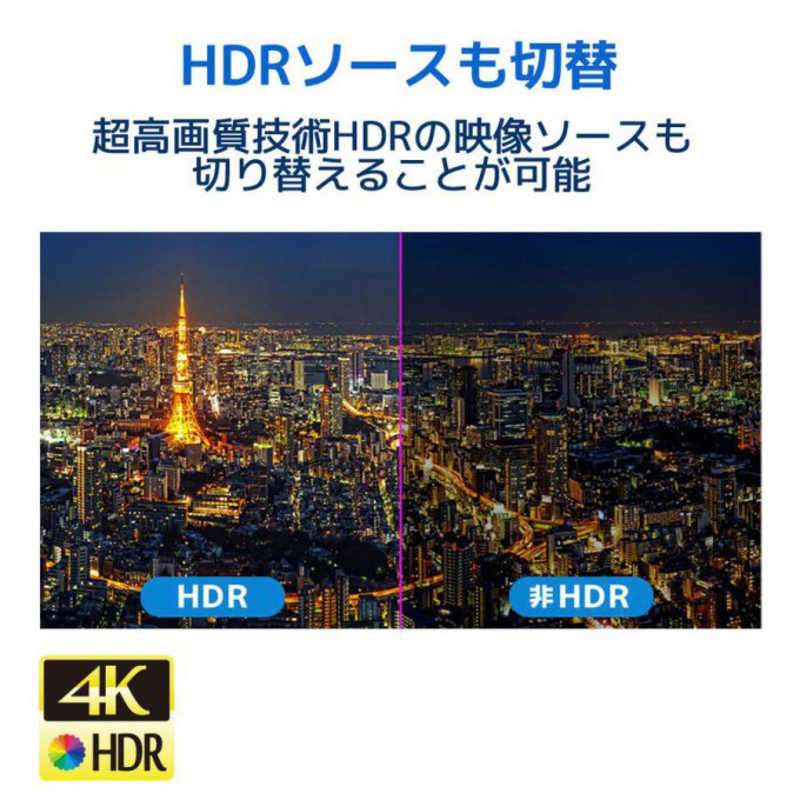 ラトックシステム ラトックシステム 4K60Hz対応 4入力2出力 HDMIマトリックススイッチ RS-HDSW42-4K RS-HDSW42-4K